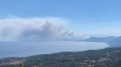 Συναγερμός στην Πυροσβεστική: Σε εξέλιξη μεγάλη φωτιά σε δάσος στο Παλαιοχώρι Σάμου - Δυνατοί άνεμοι στην περιοχή [Εικόνες-Βίντεο]