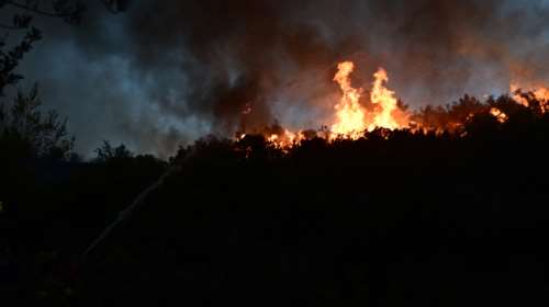 Φωτιές: Χωρίς ενεργό μέτωπο στις Ερυθρές Αττικής - Βελτιωμένη η εικόνα στο Καστράκι Αρκαδίας