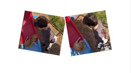 Ο,τι πιο τρυφερό έχουμε δει - Πιτσιρικάς επιχειρηματολογεί για να σηκωθεί γατάκι από τσουλήθρα: &quot;Είναι άδικο, είναι η σειρά μου&quot;