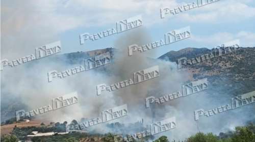 Φωτιά στην Πρέβεζα: Κοντά σε οικισμό το μέτωπο στο Καναλάκι - Σηκώθηκαν έξι αεροσκάφη