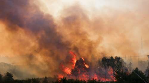 Πυροσβεστική: Συνολικά 82 πυρκαγιές σε όλη τη χώρα - 51 νέες δασικές πυρκαγιές το 24ωρο