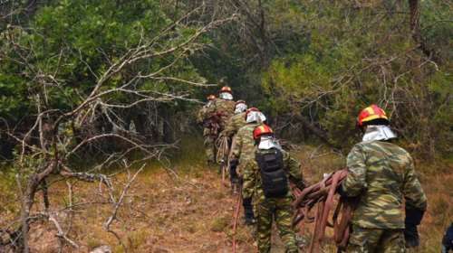 Φωτιά στον Εβρο: Πέμπτη μέρα σκληρής μάχης με τις φλόγες στο δάσος της Δαδιάς - Εκκενώθηκε το χωριό Λευκίμη