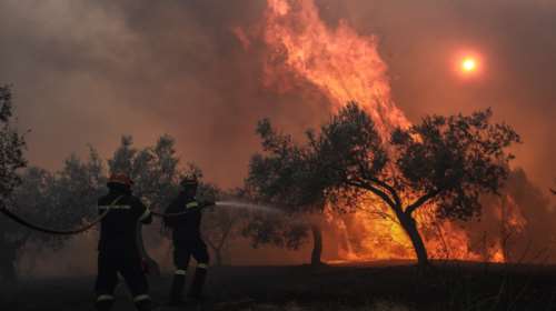 Κόρινθος: Σε εξέλιξη φωτιά σε δασική έκταση στη Ντράσα στο Γαλατάκι