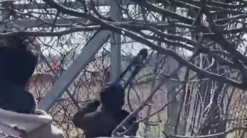 Αποκαλυκτικό βίντεο από τον Έβρο: Πρόσφυγας κόβει τον φράχτη με κόφτη