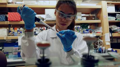 EK1C4: Αυτό είναι το ελπιδοφόρο φάρμακο στο οποίο αναφέρθηκε ο Τσιόδρας- Πως λειτουργεί