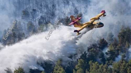 Φωτιά  κοντά στα Δερβενοχώρια: Συναγερμός στην Πυροσβεστική - Σηκώθηκαν τέσσερα  καναντέρ και δυο ελικόπτερα