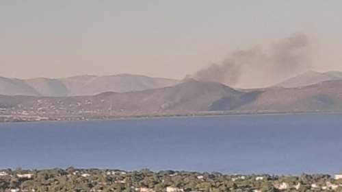 Φωτιά ξανά στο Σχινιά δίπλα από το κωπηλατοδρόμιο - Mεγάλη επιχείρηση της Πυροσβεστικής