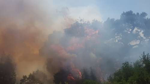 Έβρος - Δεύτερη ημέρα καίει η φωτιά στην Λευκίμμη -  Μάχη για να μην επεκταθεί στο δάσος της Δαδιάς
