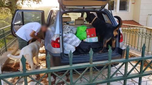 Συγκλονιστικές εικόνες από τη φωτιά στη Βαρυμπόμπη: Οικογένεια μαζεύει τα πράγματά της και εγκαταλείπει το σπίτι της