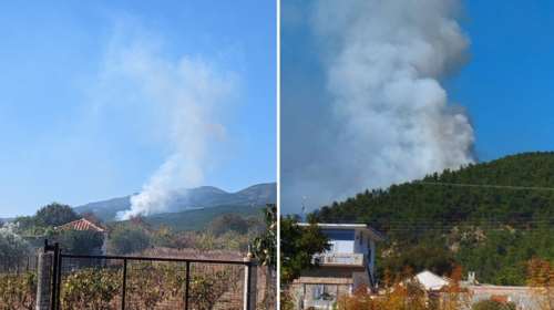 Πυρκαγιά στη Ροδόπη: Στη μάχη 35 πυροσβέστες, δύο αεροσκάφη και ένα ελικόπτερο στην περιοχή Μίσχος