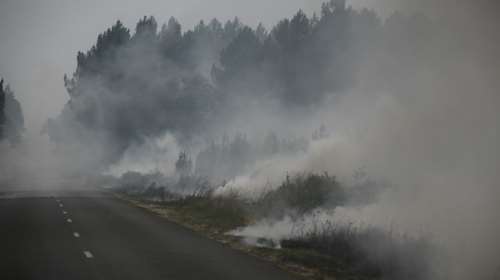 Πυροσβεστική: Συνολικά 42 δασικές πυρκαγιές το τελευταίο 24ωρο
