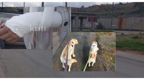 &quot;Αν χτυπούσε εμένα, θα είχα σκοτωθεί&quot;: Συγκλονίζει η 25χρονη που παρασύρθηκε - Νεκρό το σκυλάκι της