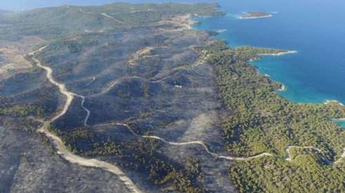 Περίεργες μπίζνες με καμένο δημόσιο δάσος στο Πόρτο Χέλι- Προσφέρεται προς πώληση για &quot;ανάπτυξη&quot; έναντι 100 εκ. ευρώ