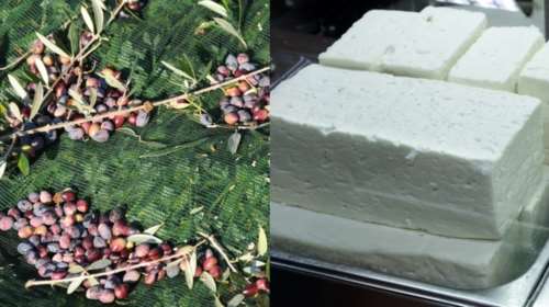 DW: Τυρί πολυτελείας η φέτα στη Γερμανία - &quot;Νέος χρυσός&quot; το ελαιόλαδο