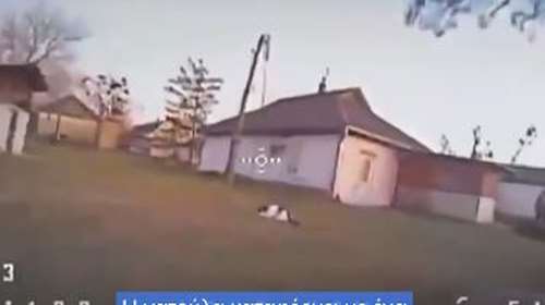 Απίστευτη γάτα καταρρίπτει ντρόουν στην εμπόλεμη Ουκρανία