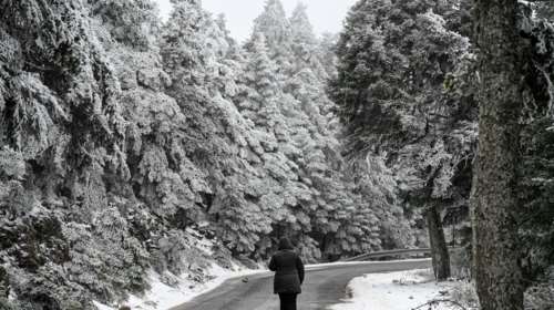 Kακοκαιρία Elena: Σε ποιούς δρόμους έχει διακοπεί η κυκλοφορία, πού χρειάζονται αλυσίδες - Χαμός σε Παρνασσό και Καλάβρυτα