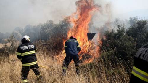 Χαλκιδική: Φωτιά σε δύσβατη δασική περιοχή στην Κασσάνδρα - Πνέουν ισχυροί άνεμοι