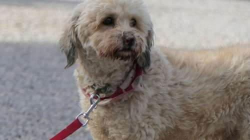 Λες και η φύση έδωσε στον Σάββα ένα πρόβλημα για να μην είναι τόσο όμορφος  - Ομως οι ατέλειες είναι ερωτεύσιμες