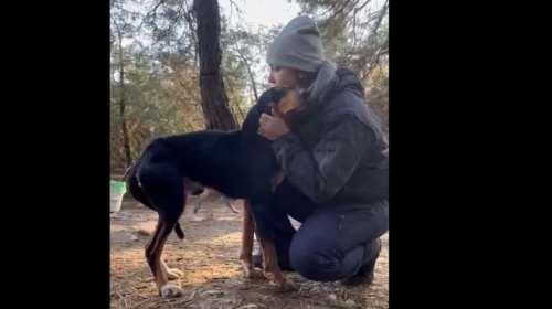 Ο Θάνος είναι πετσί και κόκκαλο από την αδυναμία, τρέμοντας, με την ουρίτσα του στα σκέλια το μόνο που θέλει είναι χάδια - Βίντεο