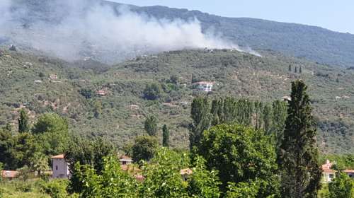 Αδιανόητο: Ανδρας έκαιγε ξερά χόρτα στην Αμφισσα και έβαλε φωτιά - Τον συνέλαβαν και του επέβαλαν απλώς πρόστιμο