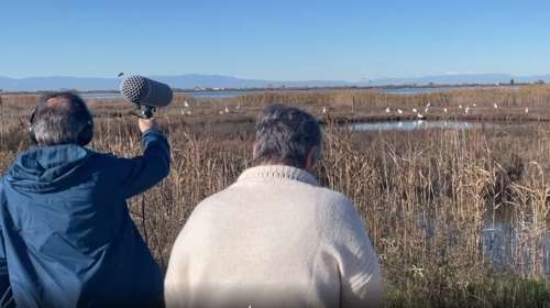 Πώς "ακούγονται" το Δέλτα του Αξιού και η λίμνη Ορεστιάδα -Ερευνητικό έργο καταγράφει τα ηχοτοπία στα 2 οικοσυστήματα