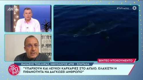 Πάγωσε παρέα στη Σέριφο - Η στιγμή που καρχαρίας τριών μέτρων περνάει δίπλα από το σκάφος τους [βίντεο]