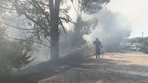 Σε εξέλιξη δασική φωτιά στην Αμφιλοχία: Ισχυρές δυνάμεις της Πυροσβεστικής στο σημείο [Εικόνες]