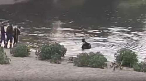 Τραγωδία στις Σέρρες: Εντοπίστηκε η σορός του αγνοούμενου ψαρά να επιπλέει στον Στρυμόνα