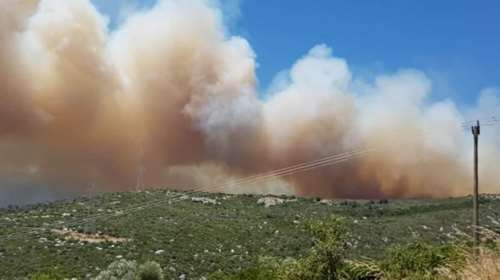 Νέα μεγάλη φωτιά στα Νέα Στύρα Ευβοίας