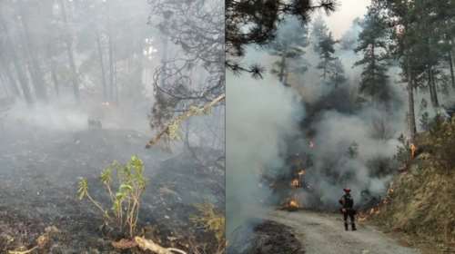 Σε εξέλιξη η πυρκαγιά στα Πιέρια Όρη - Οι έντονες κλίσεις και η πλούσια φυτοκάλυψη της περιοχής δυσκολεύουν την κατάσβεση