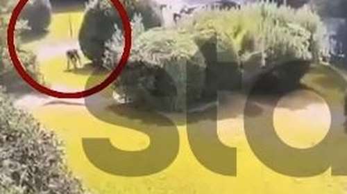 &quot;Βάλτε τα χρυσαφικά στη λεκάνη&quot;: Καρέ - καρέ η δράση Ρομά που παρίσταναν τους τεχνικούς της ΔΕΗ