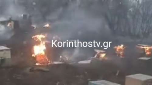 Καταστροφή στον Φενεό Κορινθίας: Εκατοντάδες κυψέλες έγιναν στάχτη από τη φωτιά - Βαρύ πλήγμα για τους μελισσοκόμους