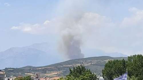 Συναγερμός για πυρκαγιά στη Βοιωτία: Μήνυμα από το 112 - Δύσκολη η φωτιά, λέει ο αντιπεριφερειάρχης