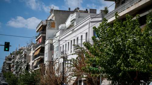 Γιατί ξεραίνονται οι μουριές της Αθήνας - Ψάχνουν λύση οι γεωπόνοι [Εικόνες]