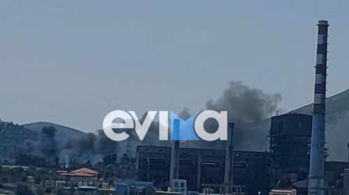 Φωτιά στο Αλιβέρι: Σε απόσταση αναπνοής από το εργοστάσιο της ΔΕΗ [βίντεο]