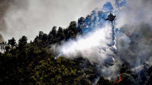 Πυρκαγιά στην Κοζάνη: Καίει δάσος στο Φλάμπουρο