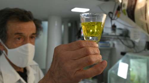 Αποκαλυπτική έρευνα: Ο κορονοϊός &quot;γέννησε&quot; 2.300 θεωρίες συνωμοσίας - Ποιες ακούσαμε τους τελευταίους μήνες!