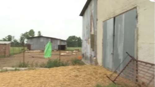 Κιλκίς: Προσωρινά κρατούμενοι οι δύο ανήλικοι που πήγαν με το θύμα στην κτηνοτροφική μονάδα- Οι κατηγορίες που τους βαραίνουν