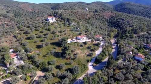 Το έγκλημα της &quot;σιωπής&quot; στη Μηλίνα Πηλίου: Θρίλερ με τη Σαμπίν Μίλερ - Γιατί η σφαίρα βρέθηκε 11 μέρες μετά