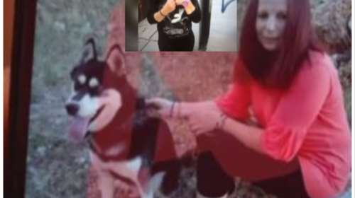 Αράχωβα -  &quot;Είμαστε σε σοκ, μου στοίχισε πολύ, τον είχαμε από μωρό&quot; - Τι λέει η μητέρα του ιδιοκτήτη του χάσκι