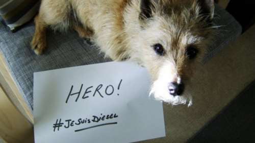 #JeSuisDiesel: Τα σκυλιά του κόσμου τιμούν τη Diesel