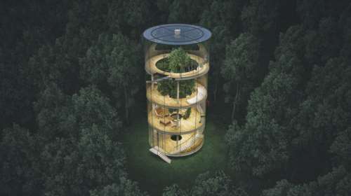 Το γυάλινο σπίτι χωρίς τοίχους, που τυλίγεται σε ένα τεράστιο δέντρο!