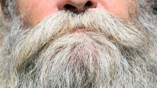 Επιστήμονες αποκάλυψαν: Οι γενειάδες είναι τόσο βρώμικες όσο οι τουαλέτες