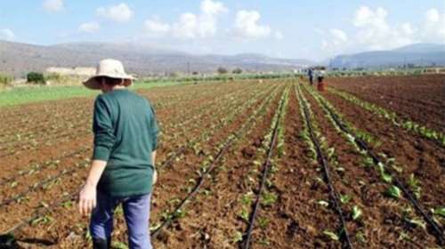 Το υπουργείο ζητά απ' τους αγρότες να επιστρέψουν τις επιδοτήσεις