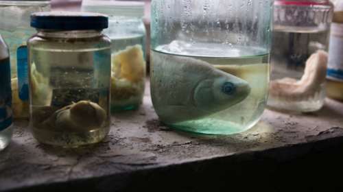 Κατασχέθηκαν χιλιάδες τόνοι ακατάλληλων τροφίμων σε διεθνή επιχείρηση