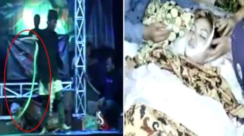 Τη δάγκωσε κόμπρα και όμως συνέχισε να τραγουδάει