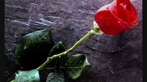 Τελευταίο αντίο στο 4χρονο αγγελούδι στη Σητεία