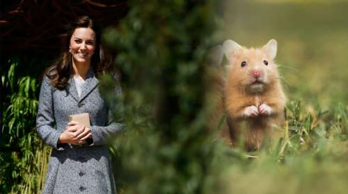 Βρετανία: Ο Μάρβιν είναι το νέο κατοικίδιο της Δούκισσας Κέιτ