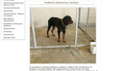 Ο Δήμος Κοζάνης δίνει για υιοθεσία τα Ροτβάιλερ