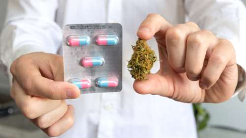 Εθνικό σχέδιο για την ιατρική κάνναβη ζητά ο ΣΥΡΙΖΑ